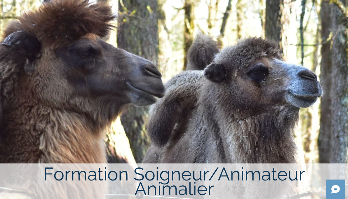 Animal Protect : ecole de soigneur animalier -France - Zoo Academia