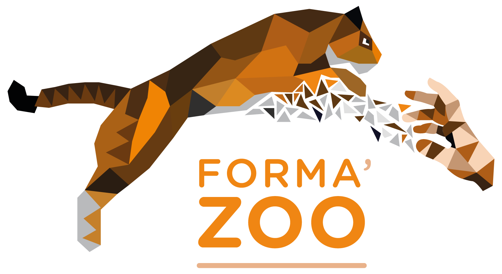 Forma Zoo est une ecole qui propose des formations autour du bien etre animal - France - Zoo Academia