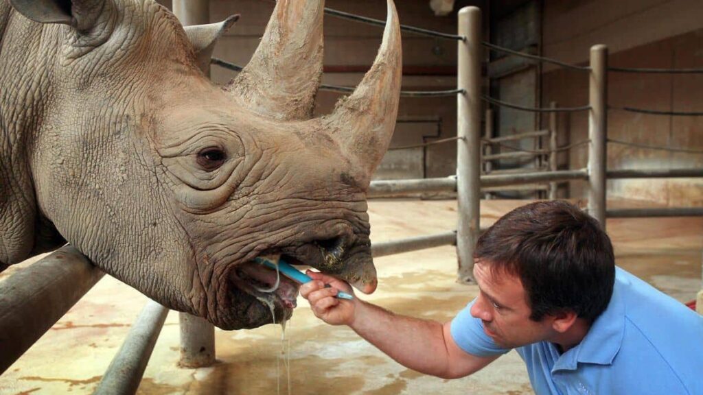 Le soigneur animalier doit prendre soin des animaux - Mission quotidienne- Zoo Academia
