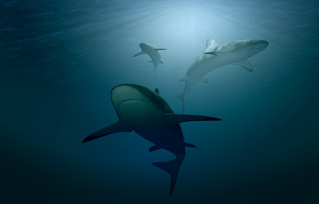 Liste metiers animaliers animaux marins et aquatiques - Zoo Academia