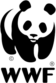 Devenir soigneur animalier dans une association (ONG, fondation...) - Zoo Academia