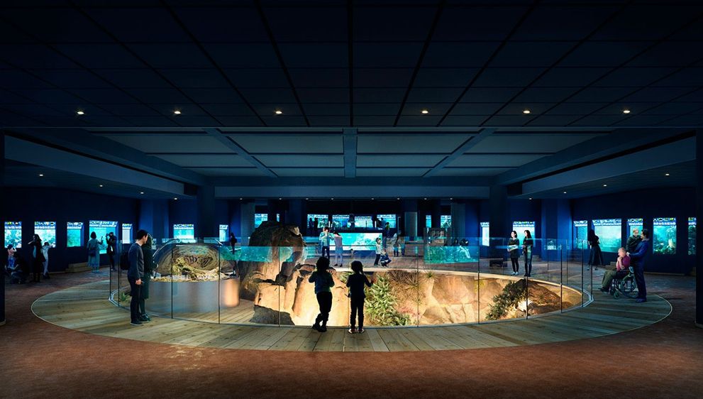 L'aquarium Tropical du Palais de la Porte Dorée à Paris est un des plus beaux et plus grands aquariums de France