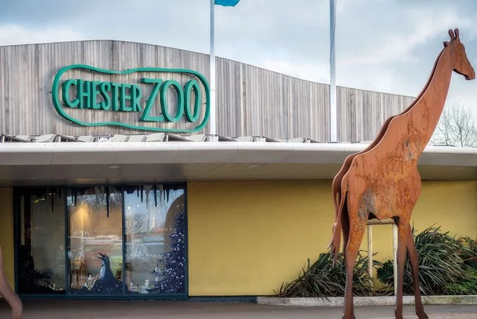 Le Chester Zoo au Royaume Uni est l'un des plus grands zoos d'Europe