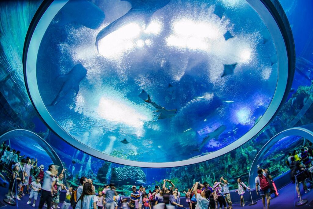 Le Chimelong Ocean Kingdom (Zhuhai, Chine) est l'un des plus grands et plus beaux aquariums au monde