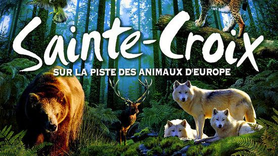 Le Parc Animalier de Sainte-Croix est l'un des plus grands zoos de France