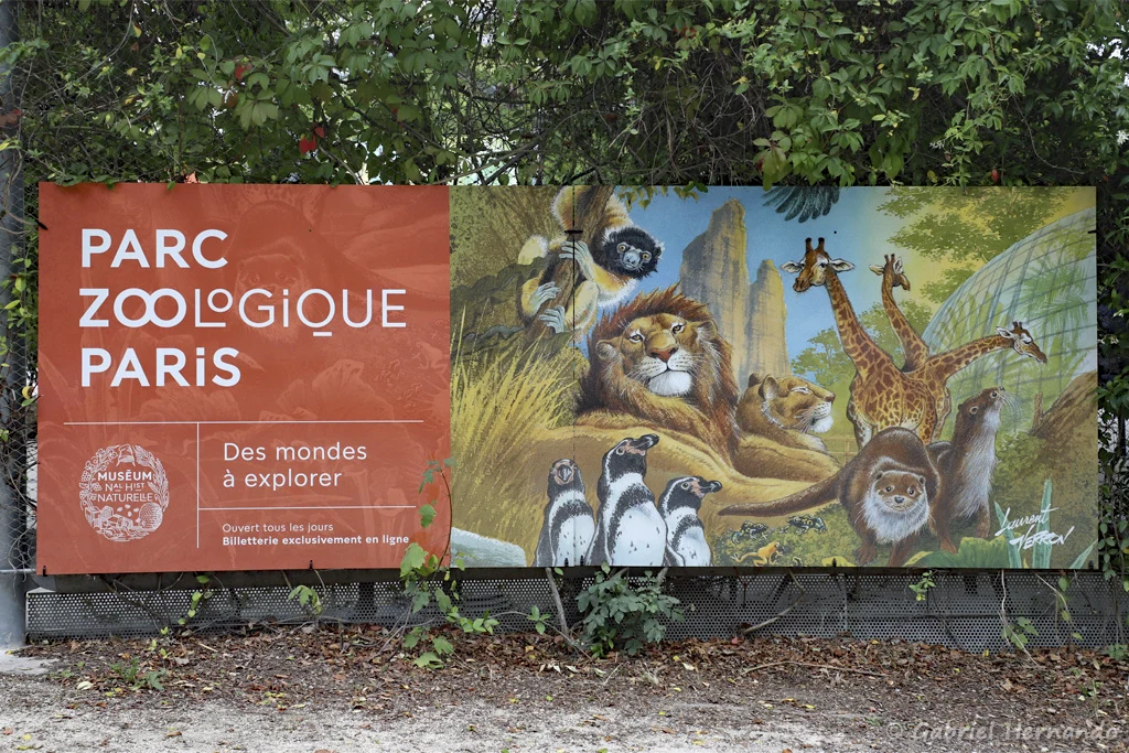 Le parc zoologique de Paris est l'un des plus grands zoos de France