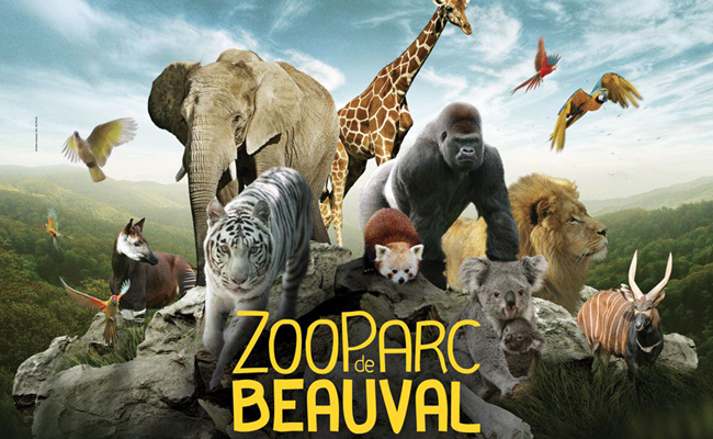 Zoo de Beauval (France) - Un des plus grands zoos au Monde - Zoo Academia