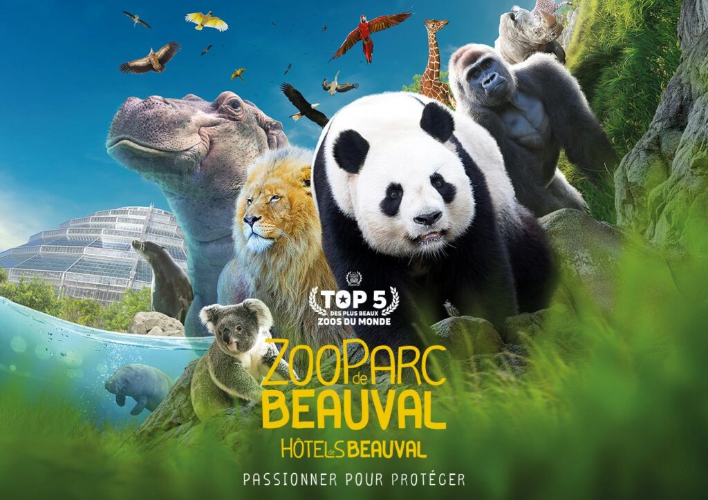 Le zoo de Beauval en France est l'un des plus grands zoos d'Europe