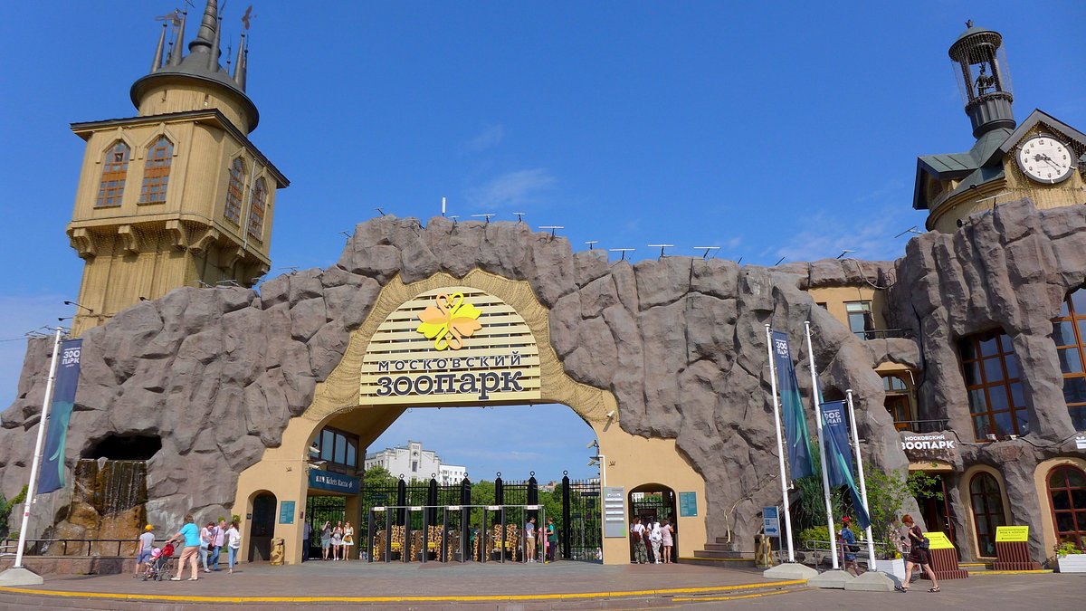 Top 10 des plus grands et beaux zoos au Monde Zoo Academia — free download