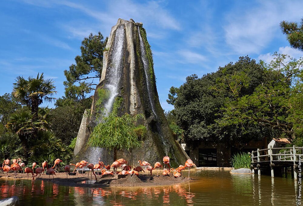 Le zoo de la Palmyre est l'un des plus grands parcs zoologiques de France