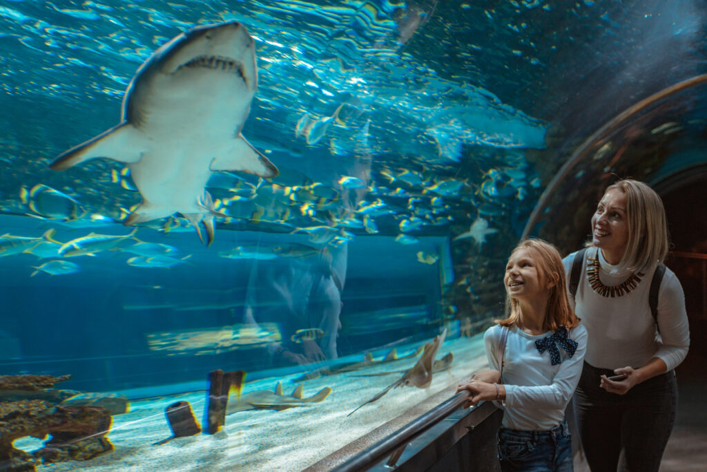 L'aquarium de Lyon est un des plus beaux aquariums de France