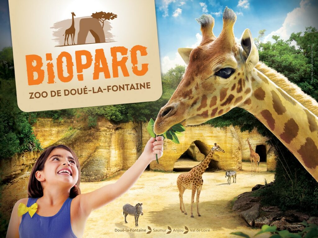 Le Bioparc de Doué la Fontaine est l'un des plus grands zoos de France