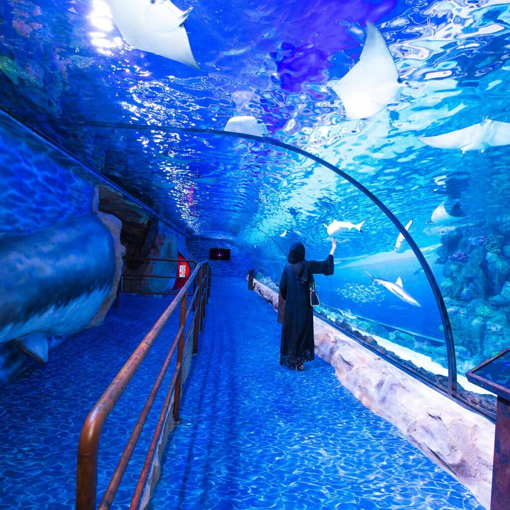 Le Dubai Aquarium and underwater zoo est l'un des plus grands et plus beaux aquariums au monde