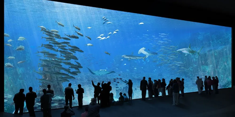 L'aquarium Nausicaa à Boulogne sur Mer est le plus grand aquarium de France