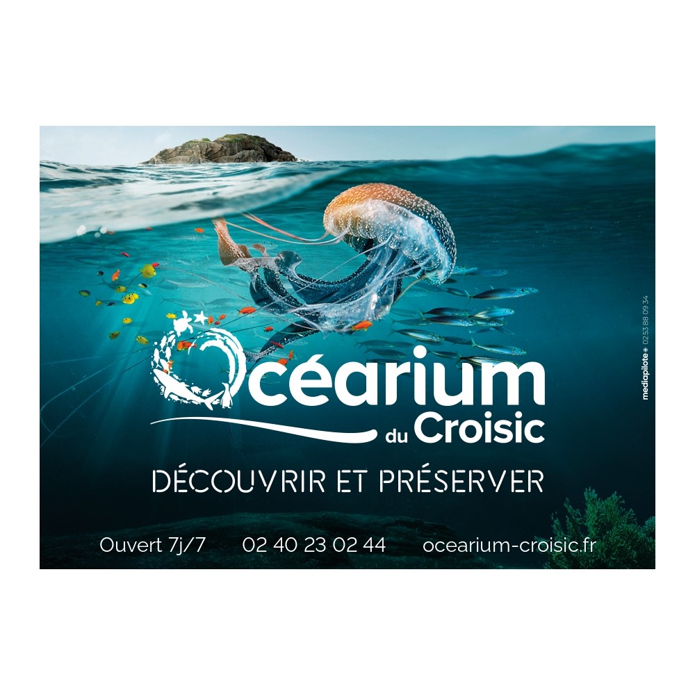 L'océarium du Croisic est un des plus beaux et grands aquariums de France