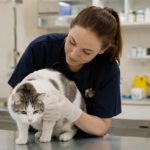 Les métiers animaliers demandent beaucoup de qualités professionnelles